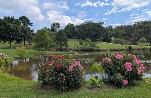 Oden RV Rental | Tent Site #3 Near Pond at Ouachita Campground at Edendell