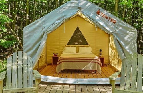 Talisheek RV Rental | Tentrr State Park Site - Louisiana Bogue Chitto State Park - Riverview E - Singl