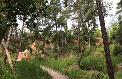 Talisheek RV Rental | Tentrr State Park Site - Louisiana Bogue Chitto State Park - Riverview E - Singl