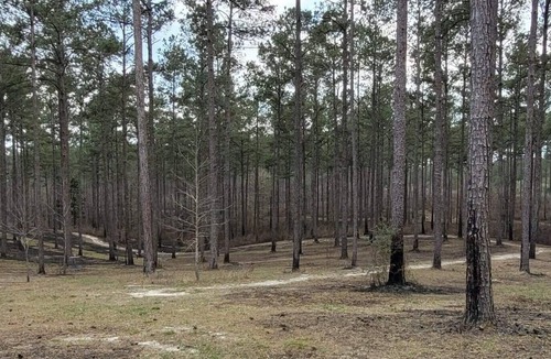 Talisheek RV Rental | Tentrr State Park Site - Louisiana Bogue Chitto State Park - Bike Trail C - Sing