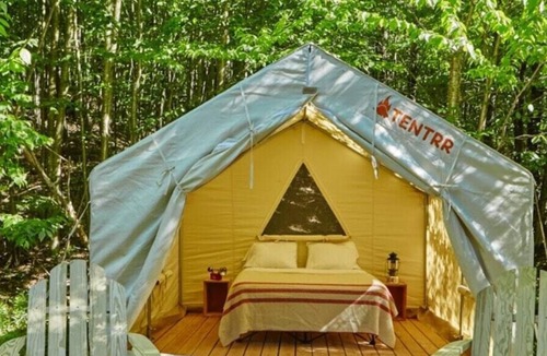 Talisheek RV Rental | Tentrr State Park Site - Louisiana Bogue Chitto State Park - Upland B - Single C