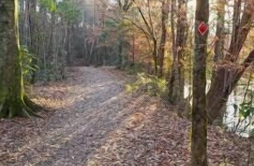 Talisheek RV Rental | Tentrr State Park Site - Louisiana Bogue Chitto State Park - Gorge Trail O - Sin