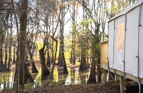Jackson RV Rental | Tentrr State Park Site - Mississippi LeFleur's Bluff State Park - By the Bayou E
