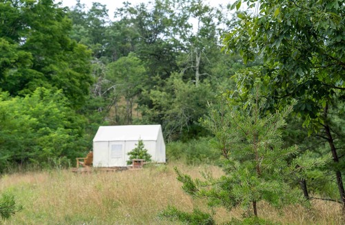 Mathias RV Rental | Tentrr State Park Site - WV Lost River State Park - Site F - Single Camp