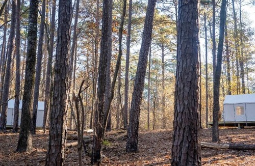 Quitman RV Rental | Tentrr State Park Site - Mississippi Clarkco State Park - Woodland B - Double Ca