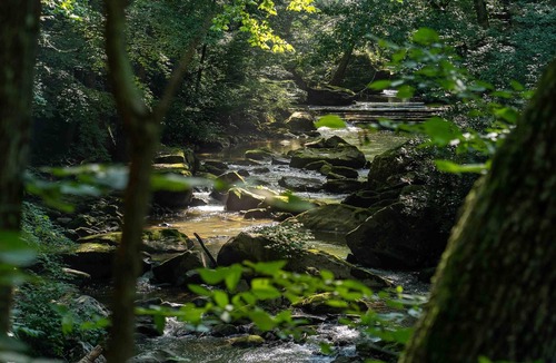 Ansted RV Rental | Tentrr State Park Site - WV Hawk's Nest State Park - Site D - Single Camp