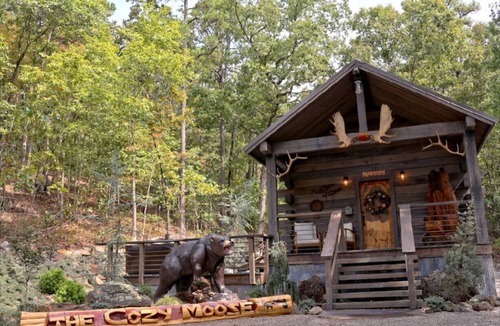 Hot Springs Cabin | The Cozy Moose Cabin At Fox Pass Cabins