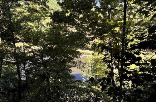 Almond House | The Happy Appalachian, Hot Tube, Lake, Fireplace, Relaxation