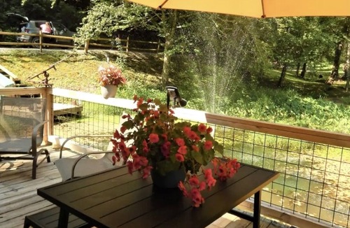 Otto Cabin | The Lily Pad GEM Hideaway! Perfect honeymoon/Anniversary spot! FLAT driveway
