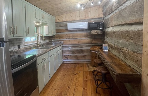 Dandridge Cabin | The Little Cabin on the peaceful lake cove! With a boat dock and fire pit!