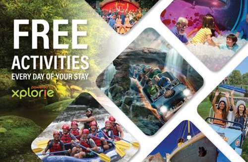 Sevierville Ski Chalet | The Lodge At Whiskey Falls- Prefect for some R&R - 75 Ft water fall, Theater Game room