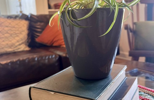 Carmi Apartment | The Main Street Loft in Carmi, IL - spacious, artsy, comfortable - sleeps 8