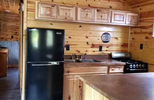 Nevis Cabin | Tiny cabin in towering pines, with lake view. Pets accepted!