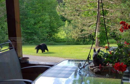 Fairview House | Trail's End Guesthouse- Vacation Cabin