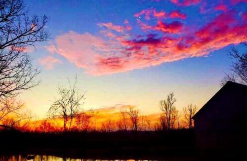 Saffell House | Tranquil Lakefront Cabin Surrounded by Woods, Wildlife & Scenic Trails in Williford, Arkansas
