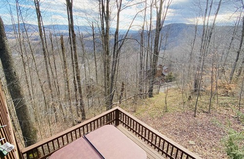 Davis House | Tree House, Hot Tub, Cozy ,Wifi, Secluded, Serene,View, Central Location
