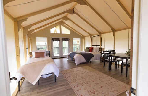 Williamstown Apartment | Ultimate Family Glamping Tent (w/twisty slide)