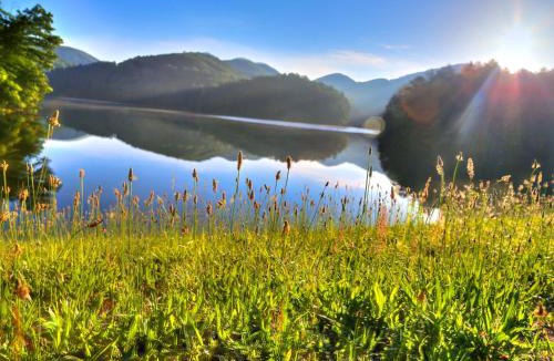 Helen Cabin | Unicoi State Park & Lodge