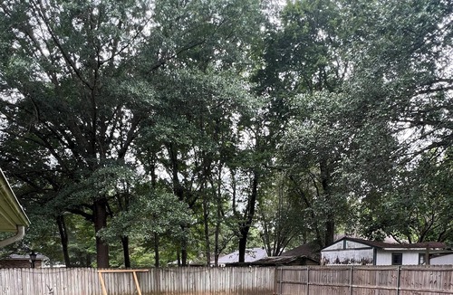 Cabot House | Warm and welcoming Cabot home. 15 minutes from Little Rock Air Force Base