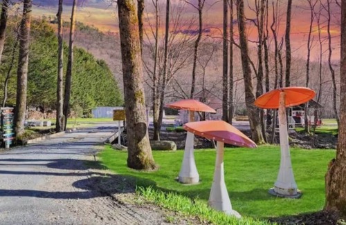 Hayesville Cottage | Whimsical Sugar Shack in Blue Ridge with Stream, Lollipop Garden & Petting Zoo