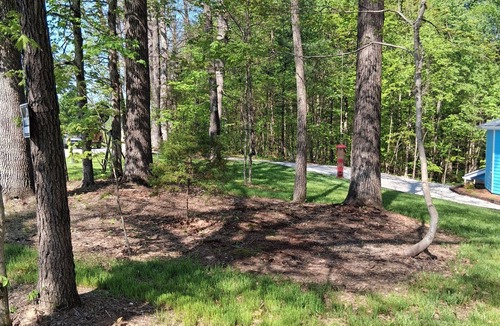 Palmyra House | Whispering Pines is a lovely 3-bedroom family-friendly home in a wooded setting.