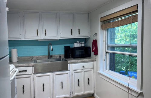 Freedom Cabin | White River Cabin - Private Dock & Wildlife