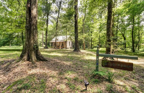 McComb House | Wild Fern Cottage with River Access