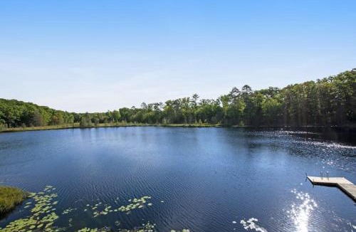 Harshaw House | Wild Forest