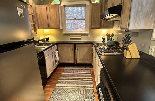 Waynesville Cottage | Winter Escape - Only 20min to Cataloochee Ski Area!