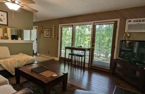 Nellysford Apartment | Wintergreen Resort Private One Bedroom Cozy Condo