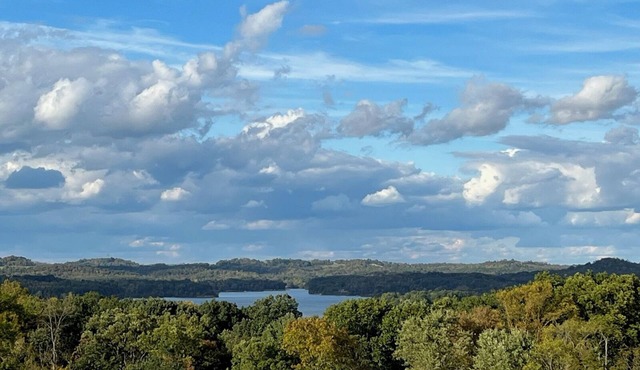 180 Degree Seneca Lake Views, privacy galore with hot tub. Sleeps 9