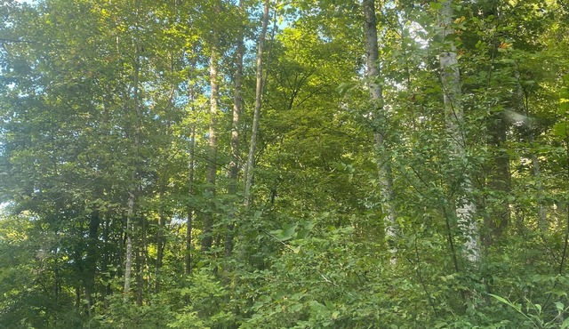 29 Beautifully Raw Acres to enjoy!