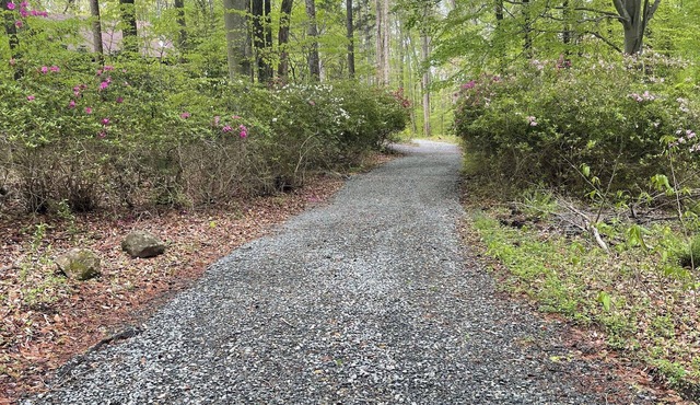 3-bedroom cabin in peaceful Greensboro with cozy charm