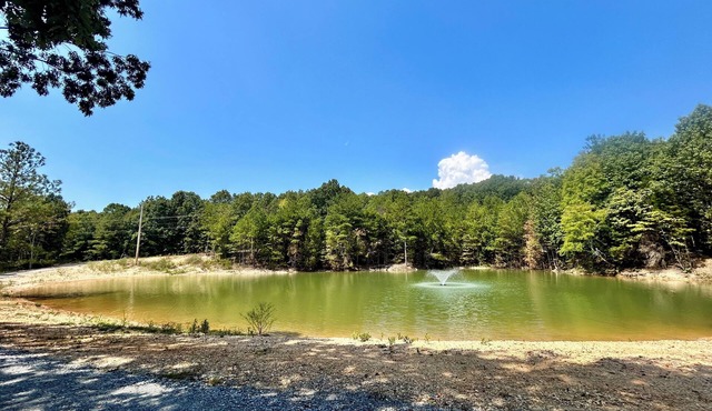 4-bedroom farmhouse on beautiful, secluded homestead with family/pet amenities
