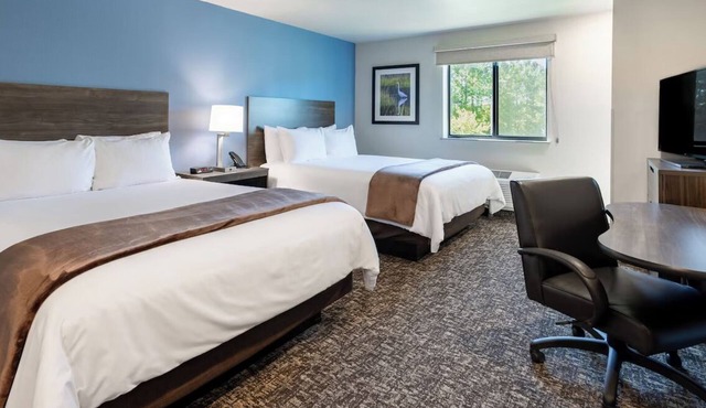 4 Spacious Studios for Families and Pet Owners – with Fully Equipped Kitchen!