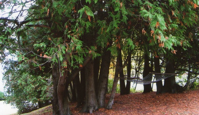 A Quiet Retreat In Door County Close To The Water, Shops, Eateries And Golf.