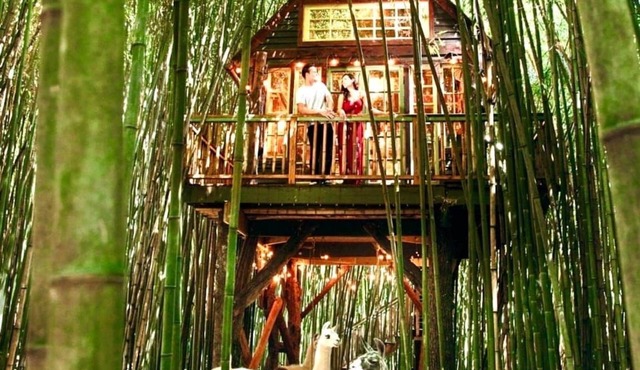 Alpaca Treehouse in the Bamboo Forest