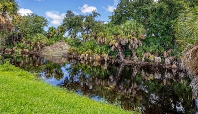 Beachcomber's - Enjoy the nature and water view from your lanai.