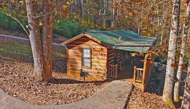 Bear Cabin - 2 Bedroom/1 Bath Vacation Rental