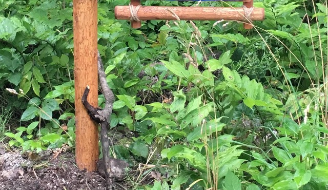Beautiful 3 Bedroom Door County, Heavily Wooded, Pet Friendly, NOW OFFERS WIFI