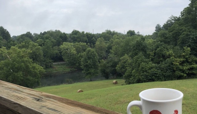 Beautiful and Secluded 3 BR/3 BA Home on South Holston River