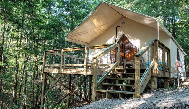 Bluejay's Nest-Lux Camping Tent in the Gorge️