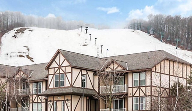 Boyne Mtn 1BR Prime Location, laundry, fireplace, kitchen, sleeps 4