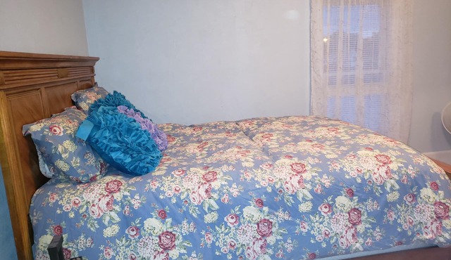 Bright, upper flat large bedroom, large closet & sitting area