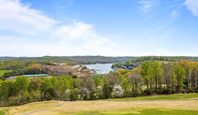Bunkers & Boats: Ridge/Lake/Golf Views; Slip; 10