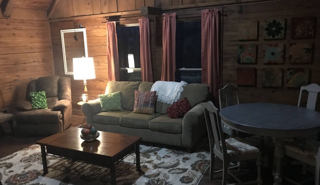 Cabin minutes to Norkfork lake and shopping