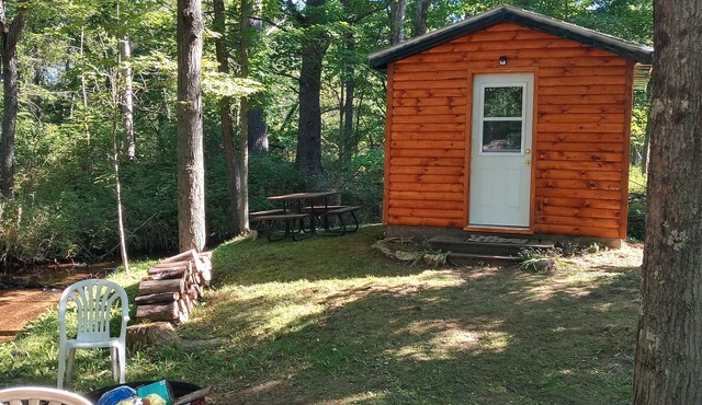 Cannabis Cabin 2 (with extras)