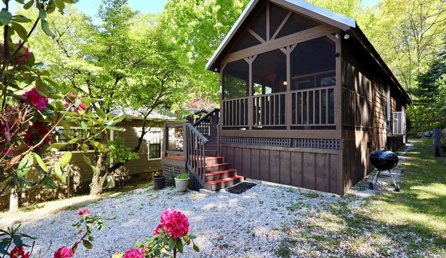 Carolina Cozy: Easy Walk to Main Street | Adorable Tiny Home w/Screened Porch