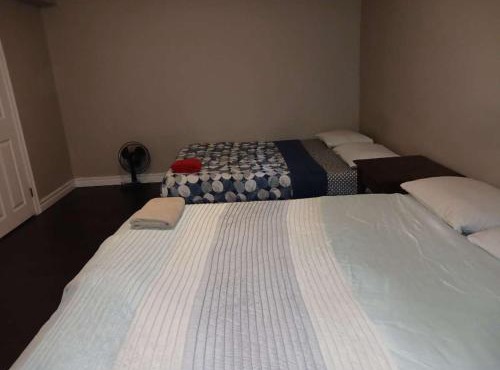 Central Kitchener Downtown in Budget- Near to College, Bus, Restaurant, Airport in Kitchener