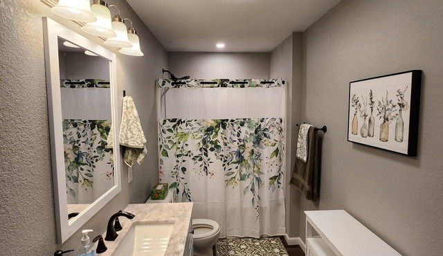 Charming 1-bedroom house in superb Eau Claire with AC, WiFi